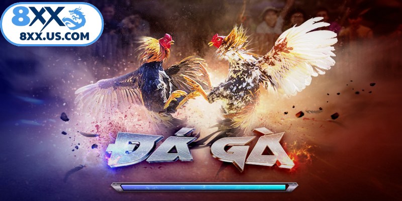 Đá gà 8XX cung cấp một trải nghiệm giải trí an toàn và thuận tiện