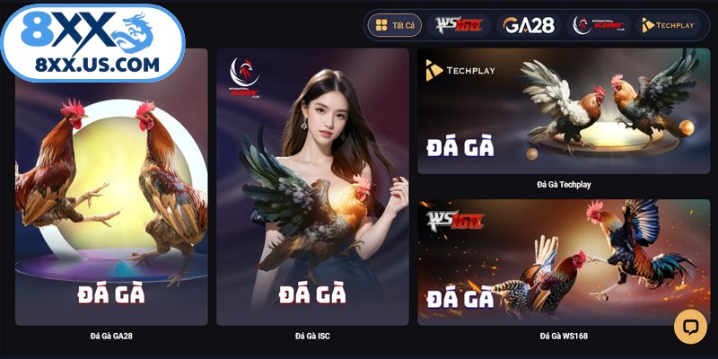 Thế giới đá gà đáng tin cậy cung cấp đa dạng thể loại thi đấu