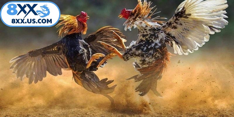 Khi đào tạo, chăm sóc cũng có những từ ngữ chuyên dụng